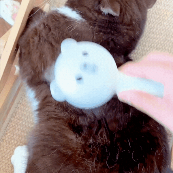 Brosse Fraîche Animaux®